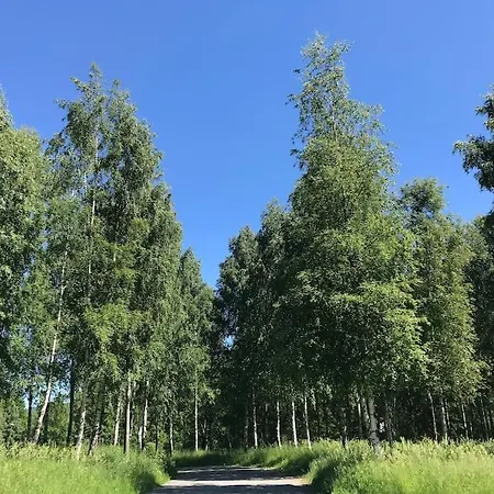 Hus I Sentrum Med Rolige Omgivelser, Gangavstand Til 