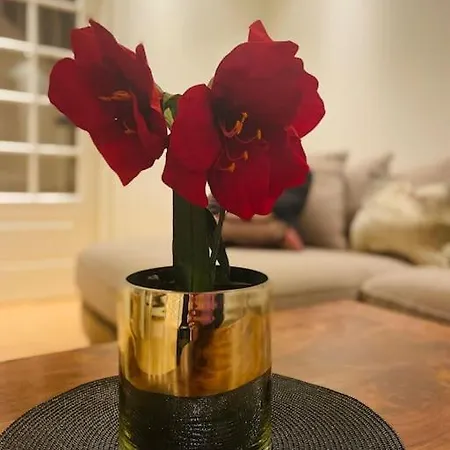 Apartman Stort Hus I Sentrum Med Gangavstand Til 