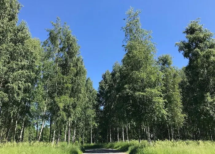 Stort Hus I Sentrum Med Gangavstand Til 