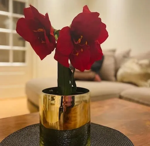 شقة Stort Hus I Sentrum Med Gangavstand Til 